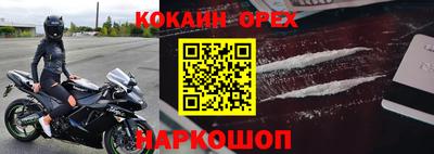 сатива Новокубанск