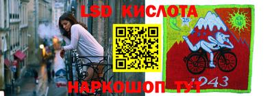 спиды Новодвинск