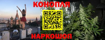 сатива Новокубанск
