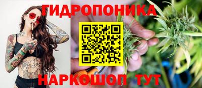 spice Новозыбков