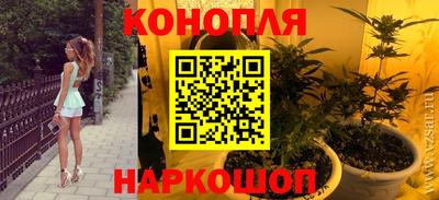 спиды Новодвинск
