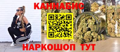 сатива Новокубанск