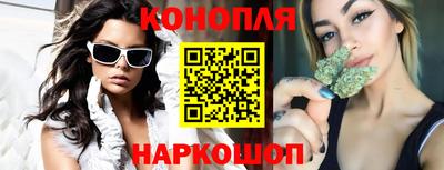сатива Новокубанск