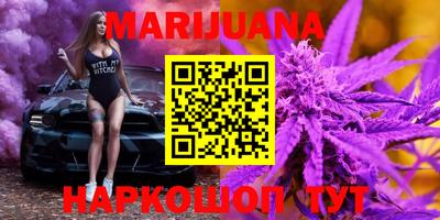 сатива Новокубанск