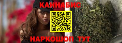спиды Новодвинск