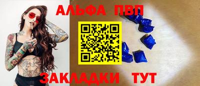 спиды Новодвинск