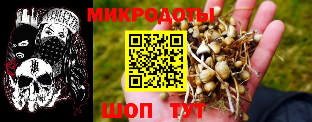 Унеча  Галлюциногенные грибы Cubensis  Вход с VPN 